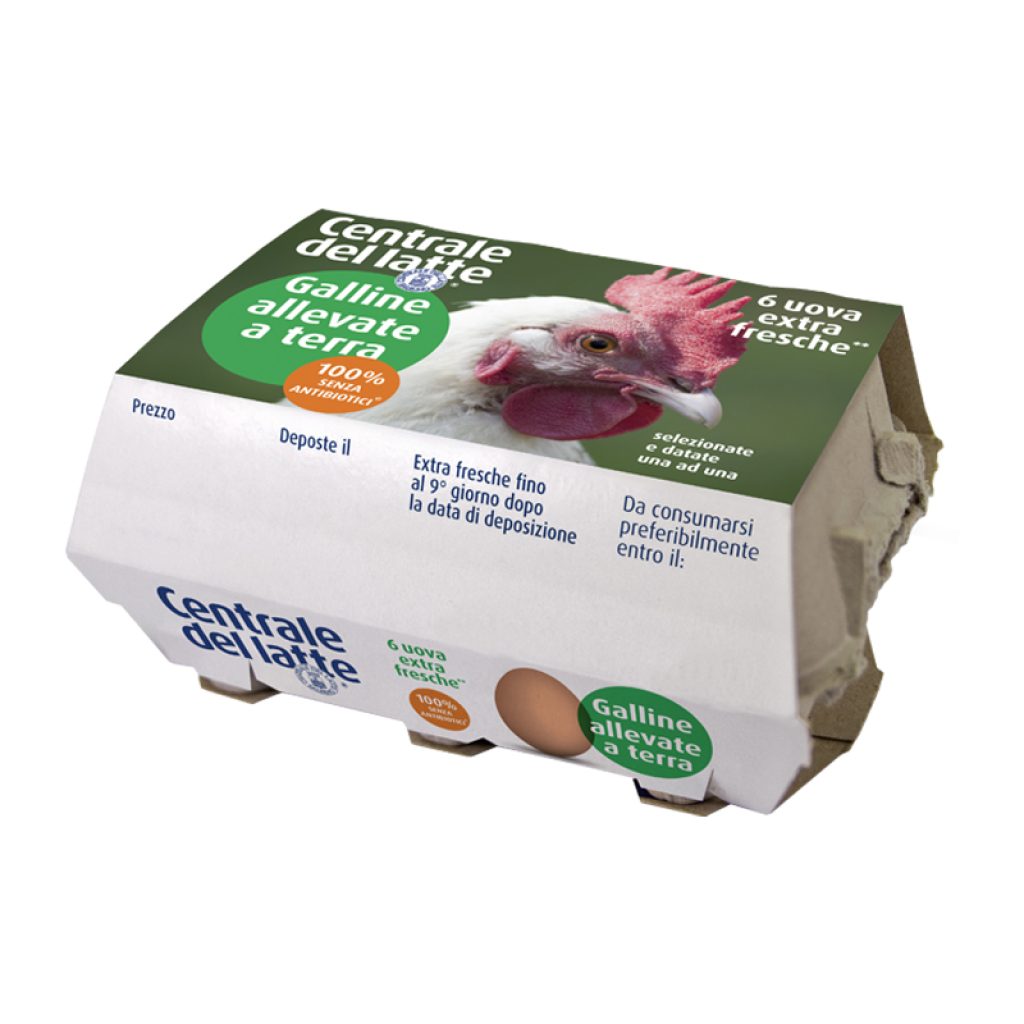 Uova extra fresche da galline allevate a terra