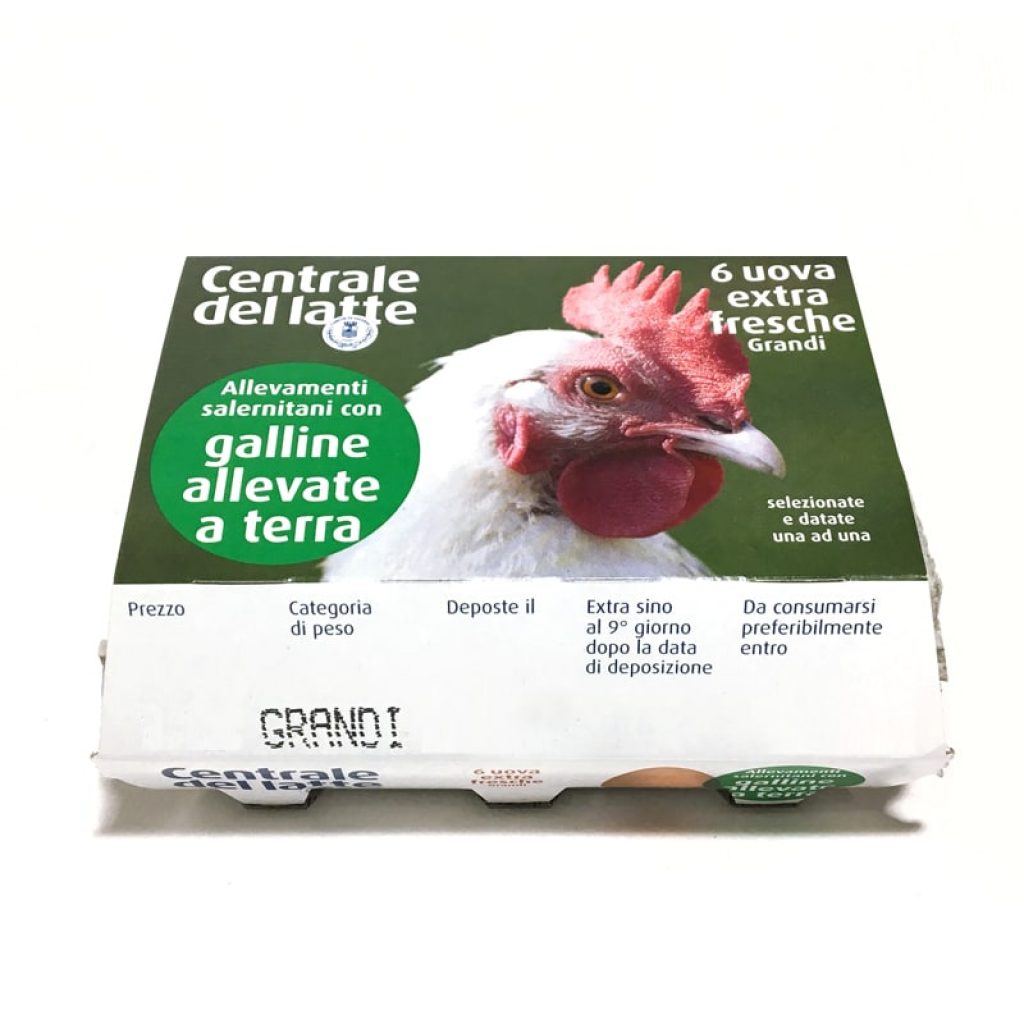 Uova extra fresche da galline allevate a terra